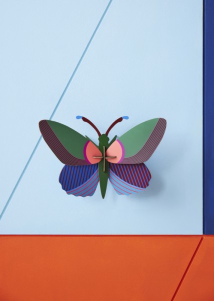 lily butterfly