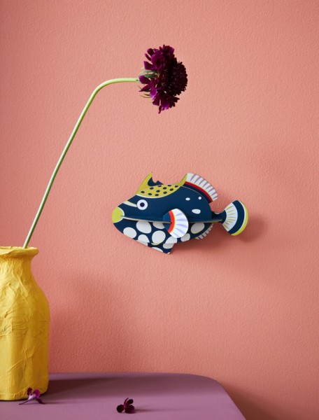 Small Sea Creature – Clown Triggerfish