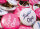 Button Super Oma