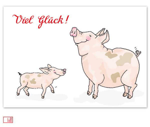 Postkarte Schwein