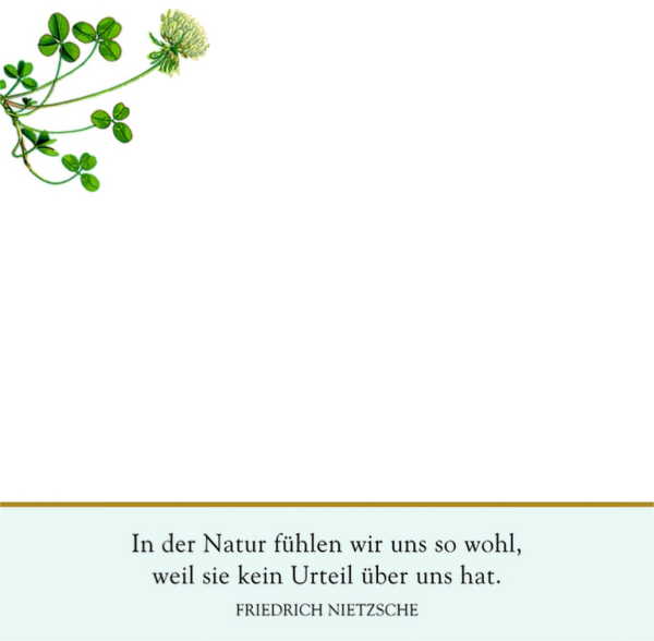 Zettelkästchen Schöne Gedanken