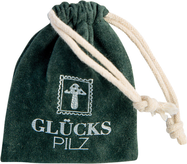Kleiner Glücksbringer – Glückspilz