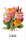 Blumen-Memo