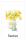 Blumen-Memo