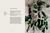 Erde, Salz & Glut