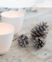 Poesielicht – Frohe Weihnachten
