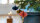 Baumschmuck Laterne