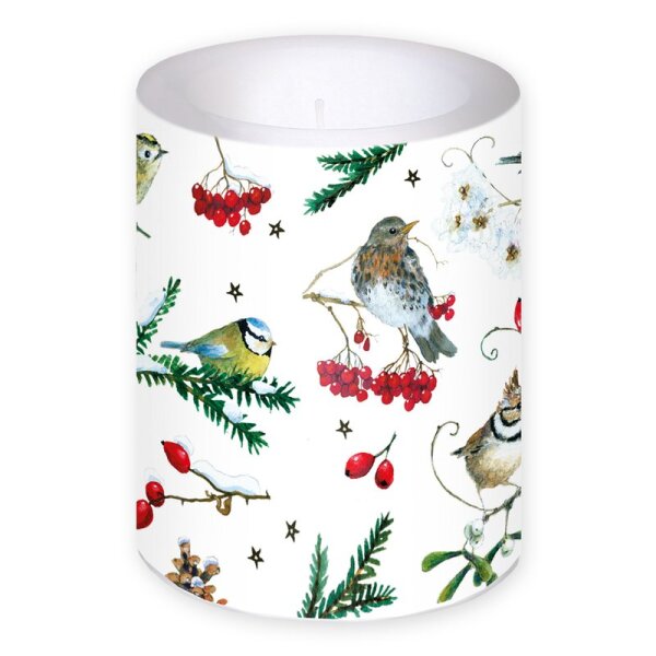 Kleine Kerze Wintervögel