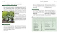 Selbstversorgergarten – biologisch gärtnern.