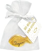 Mini-Glasfisch - Segen