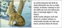 Adventskalender Tiere im Winterwald