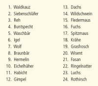 Adventskalender Tiere im Winterwald