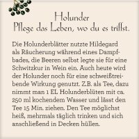 Adventskalender Leben mit der Natur
