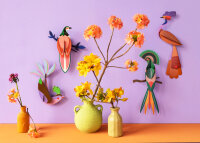 Paradise Bird - Savu