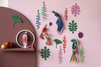Big wall of curiosities - Bird Observer