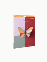 Medium Insects - Cleo Butterfly