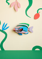 Medium Sea Creature - Fairy Wrasse