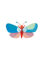 acacia butterfly
