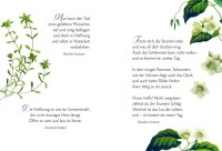 Worte des Trostes: In Tagen der Trauer