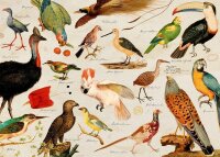 Puzzle - Illustrierte Tierwelt