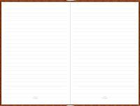 Tagebuch mit Schloss Diary