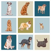 Hunde-Memo