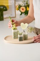 Mini Vasen – Porzellantüten 3er Set