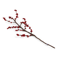 Zweig mit roten Beeren