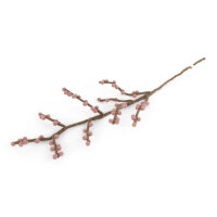 Zweig mit altrosa Beeren