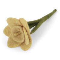 Filz kleine, gelbe Narzisse