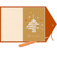 Briefbuch – Advent mit Morgenstern