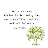 Sprüchebox – Das Leben ist schön
