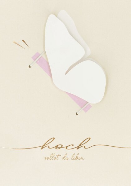 Klappkarte – Geldgeschenkkarte - Hoch sollst du leben