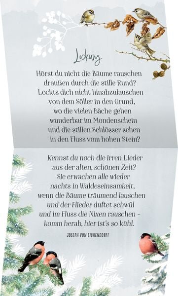 Coffee Table Adventkalender, Zauberhafte Weihnachtszeit