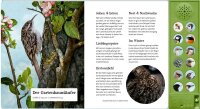 Was singt und summt im Apfelbaum? Soundbuch