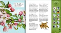 Was singt und summt im Apfelbaum? Soundbuch
