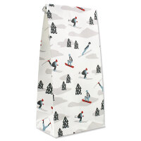 Papier-Geschenktüten Ski
