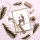 Stempel Reh
