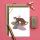 Stempel Fuchs laufend
